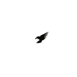RavMem